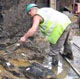 London's oldest timber structure, a trackway